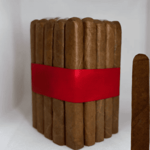 Sancho Panza (Test)